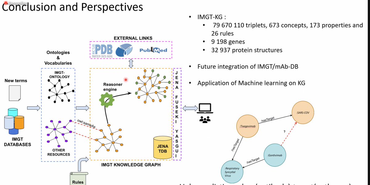 Gaoussou Sanou introduces IMGT-KG: a knowledge graph for immunogenetics. #iswc_conf #iswc2022
