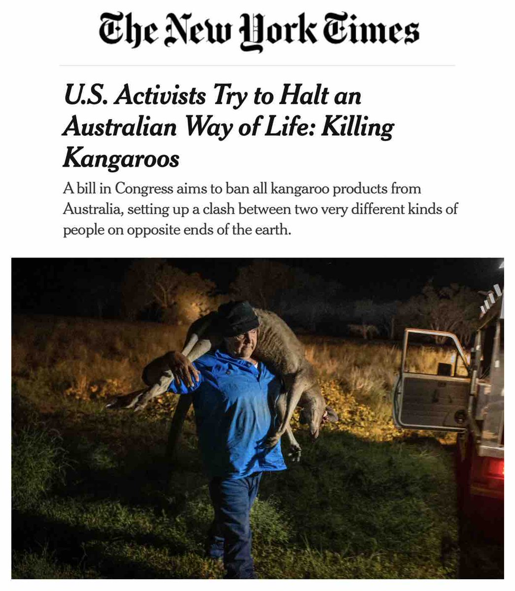 theirturn's tweet photo. @Australia @tanya_plibersek @AlboMP @nikefootball @arnettwill @VicKangaroos @TheHumaneCenter @animaljusticeAU @smh @AustraliaUN @ajp_sa @abcmelbourne @TourismAus @AJPNSW @rugbyworldcup Commercial hunters chase down millions of kangaroos in the dark of night, blow their heads off and steal their skin for @Nike soccer shoes. Their joeys are mercilessly killed too. Will Arnett &amp; Rose Byrne: Please speak out because the #kangaroomassacre is #smartless and cruel. https://t.co/agQZkCmHUK