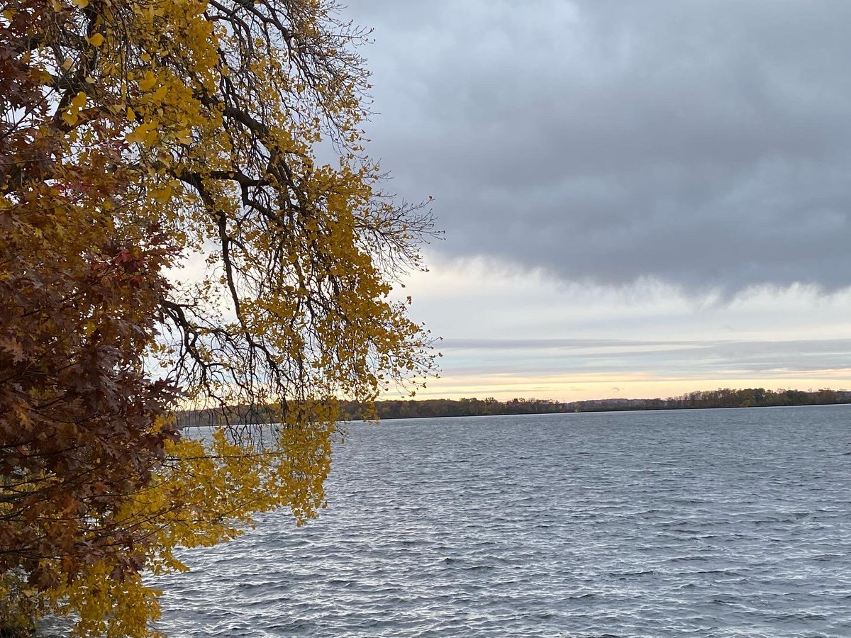 myvisionoflife1's tweet photo. My Vision of Life Experience #vision #life #lifestyle #explore #experience #nature #madison #wisconsin #usa 🇺🇸 #spactacular #view #nature #naturephotography #sunrise #sunrise_sunset_photogroup #sunrise_and_sunsets #sunriseoftheday #leaves🍁 #leaves #leavesfall #lakemendota #lake https://t.co/hhdXJxY78r