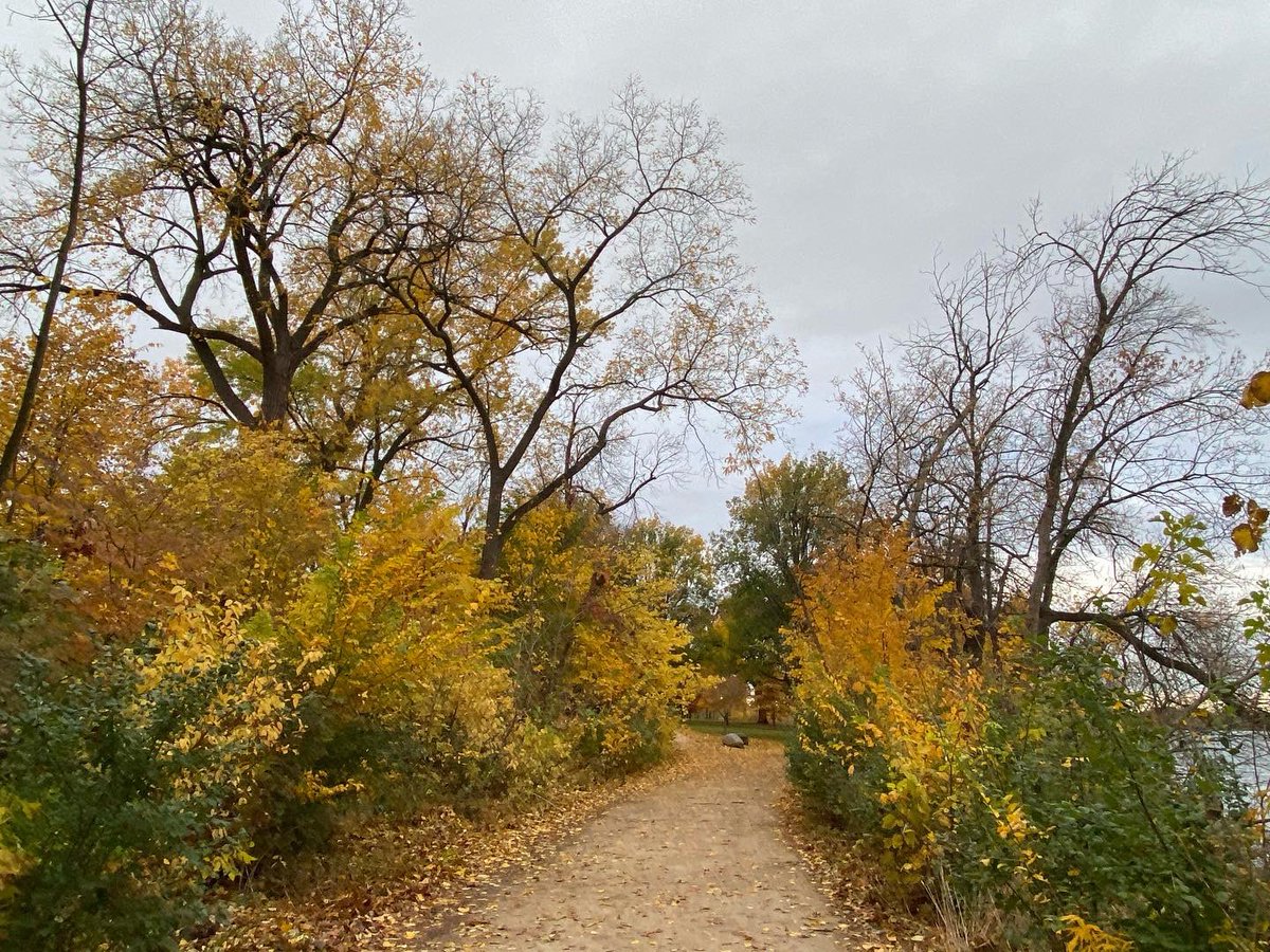 myvisionoflife1's tweet photo. My Vision of Life Experience #vision #life #lifestyle #explore #experience #nature #madison #wisconsin #usa 🇺🇸 #spactacular #view #nature #naturephotography #sunrise #sunrise_sunset_photogroup #sunrise_and_sunsets #sunriseoftheday #leaves🍁 #leaves #leavesfall #lakemendota #lake https://t.co/hhdXJxY78r