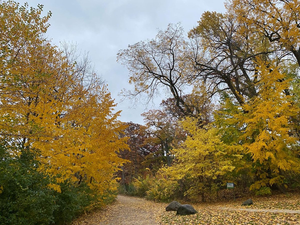 myvisionoflife1's tweet photo. My Vision of Life Experience #vision #life #lifestyle #explore #experience #nature #madison #wisconsin #usa 🇺🇸 #spactacular #view #nature #naturephotography #sunrise #sunrise_sunset_photogroup #sunrise_and_sunsets #sunriseoftheday #leaves🍁 #leaves #leavesfall #lakemendota #lake https://t.co/nsAIvQrVmI