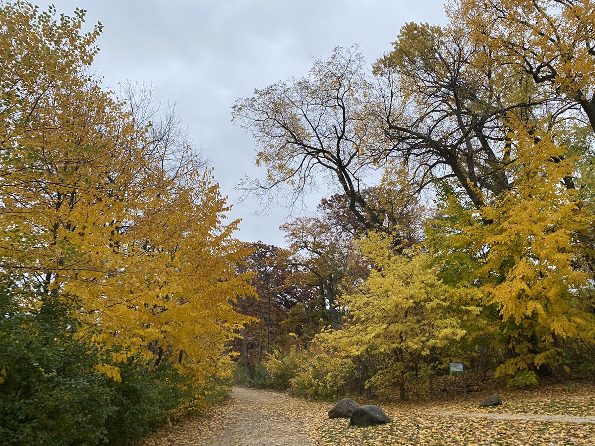 myvisionoflife1's tweet photo. My Vision of Life Experience #vision #life #lifestyle #explore #experience #nature #madison #wisconsin #usa 🇺🇸 #spactacular #view #nature #naturephotography #sunrise #sunrise_sunset_photogroup #sunrise_and_sunsets #sunriseoftheday #leaves🍁 #leaves #leavesfall #lakemendota #lake https://t.co/wwolM4PYXK