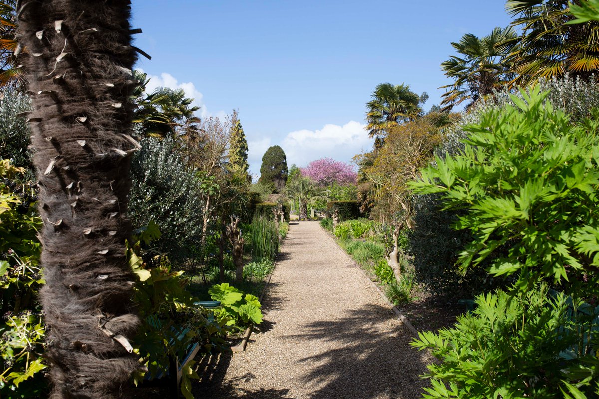 walledgardens's tweet photo. We are currently experiencing some issues with our card machines at the Walled Gardens. If you are planning to visit us please bring cash with you. We are working to get the problem sorted as quickly as possible. https://t.co/Uc4fsZo5pM