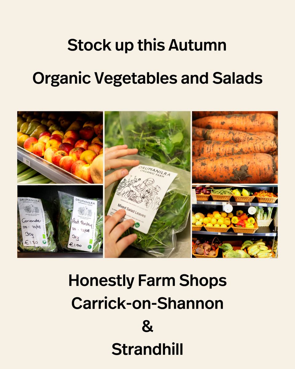drumanilra's tweet photo. Fresh vegetables in our farm shops, and salads from @drumanilra - can't be beaten https://t.co/nRHHZrbboa