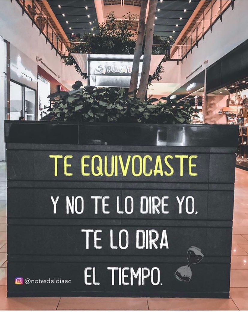 Feliz día mundo - paz y amor 🌷 Brindis por la verdad que siempre sale a la luz. 🥂🍾 #QueBonito