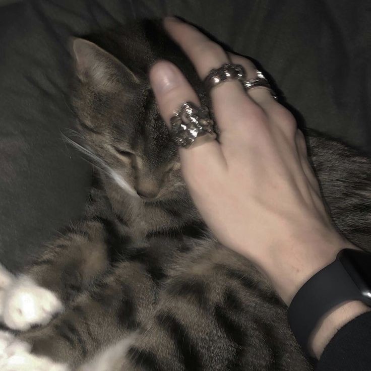 Znalazłem pod wytwórnia takiego samotnego słodziaka więc postanowiłem się nim zająć 
#TeamEternal