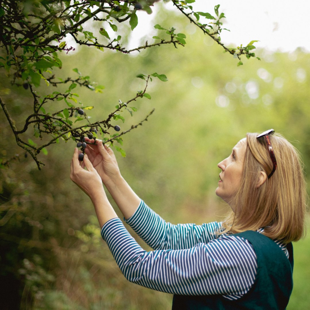 sewmesomething's tweet image. We&apos;re in planning mode today at SMS Studios. If you could sign up for a sewing workshop (that we&apos;ve never had on before) what would it be? We&apos;d love to hear what you want to see from us next year!

#sew #sewingpatterns #indiepatterns  #sewingworkshop #sewingtechniques #workshops