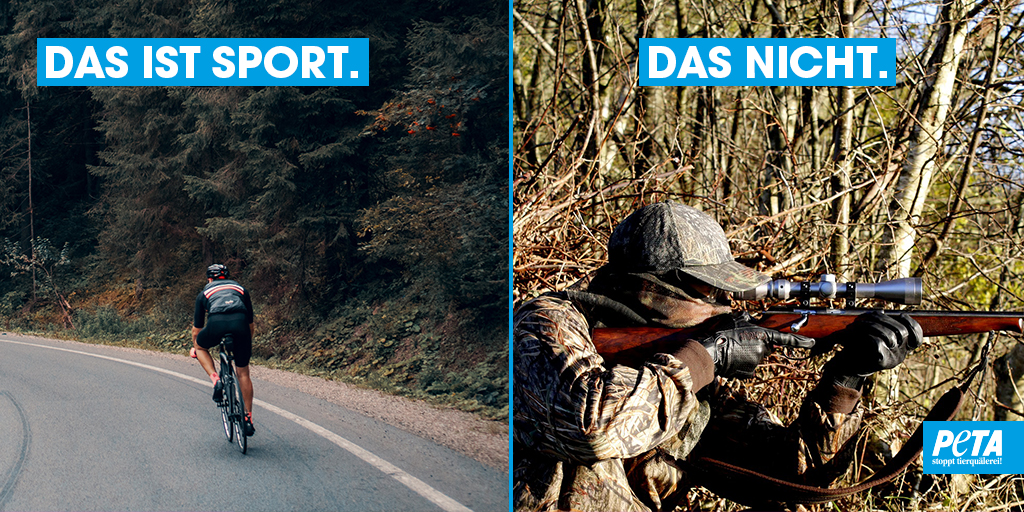 PETADeutschland's tweet image. Tiere zu #töten, darf nicht länger ein „Freizeitvergnü­gen“ sein! ❌
Helft mit und fordert auch ihr ein Ende der #Hobbyjagd. ✍
PETA.de/aktiv/hobbyjag…