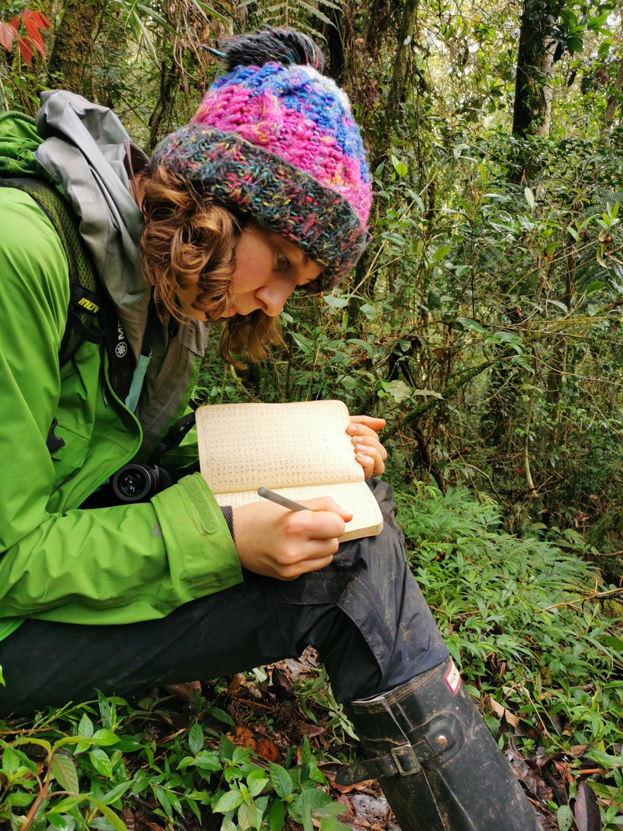 The @RGS_IBG Postgraduate Research Awards offer grants of £2,000 for #PhD students undertaking fieldwork or data collection in topics across geography in the UK or overseas. Apply now. Deadline 23 November 🌏 👉 orlo.uk/3fjps #RGSgrants