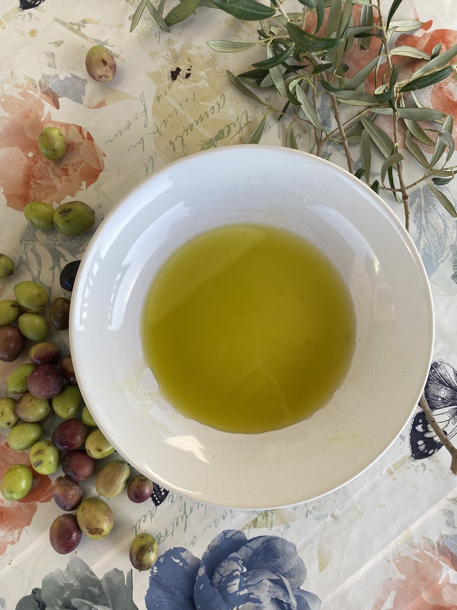 dannymccubbin's tweet photo. The end result, so good ๐ The taste is incredible! Perhaps because I had a hand in the harvesting process? I have made many new friends here over the last two days & I am so happy to be a part of the community. #oliveoil #oliveharvest #torresalsa ๐ฎ๐น๐ซ๐ฎ๐น๐ซ๐ฎ๐น https://t.co/U8Yb7PZvxC