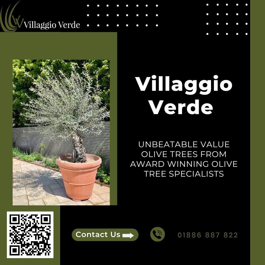Villaggio Verde tweet media