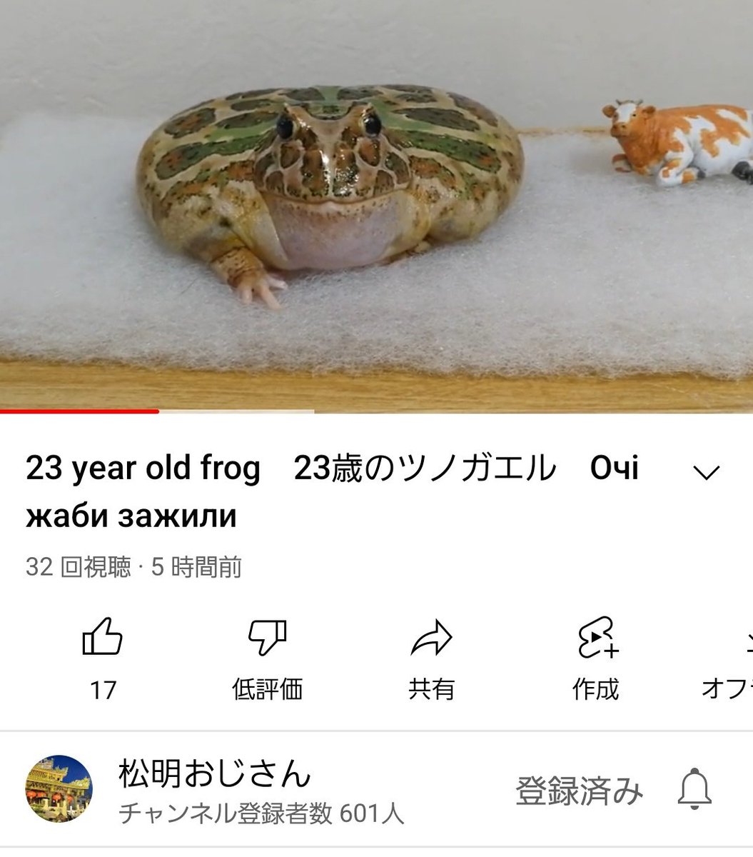 ferdalangurinn's tweet image. лучшая новость за день: тот самый японский дедушка, который выкладывает на ютубе видео с дней рождения своей рогатой лягушки-долгожителя, сегодня сообщил, что лягушке исполнилось 23 года! а ещё сообщает, что у неё зажили глазки, которые он лечил каплями. с днём рождения!