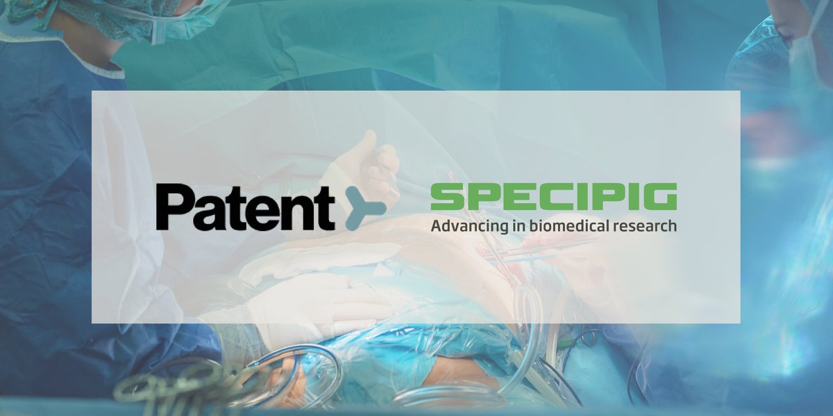 Specipig tweet media