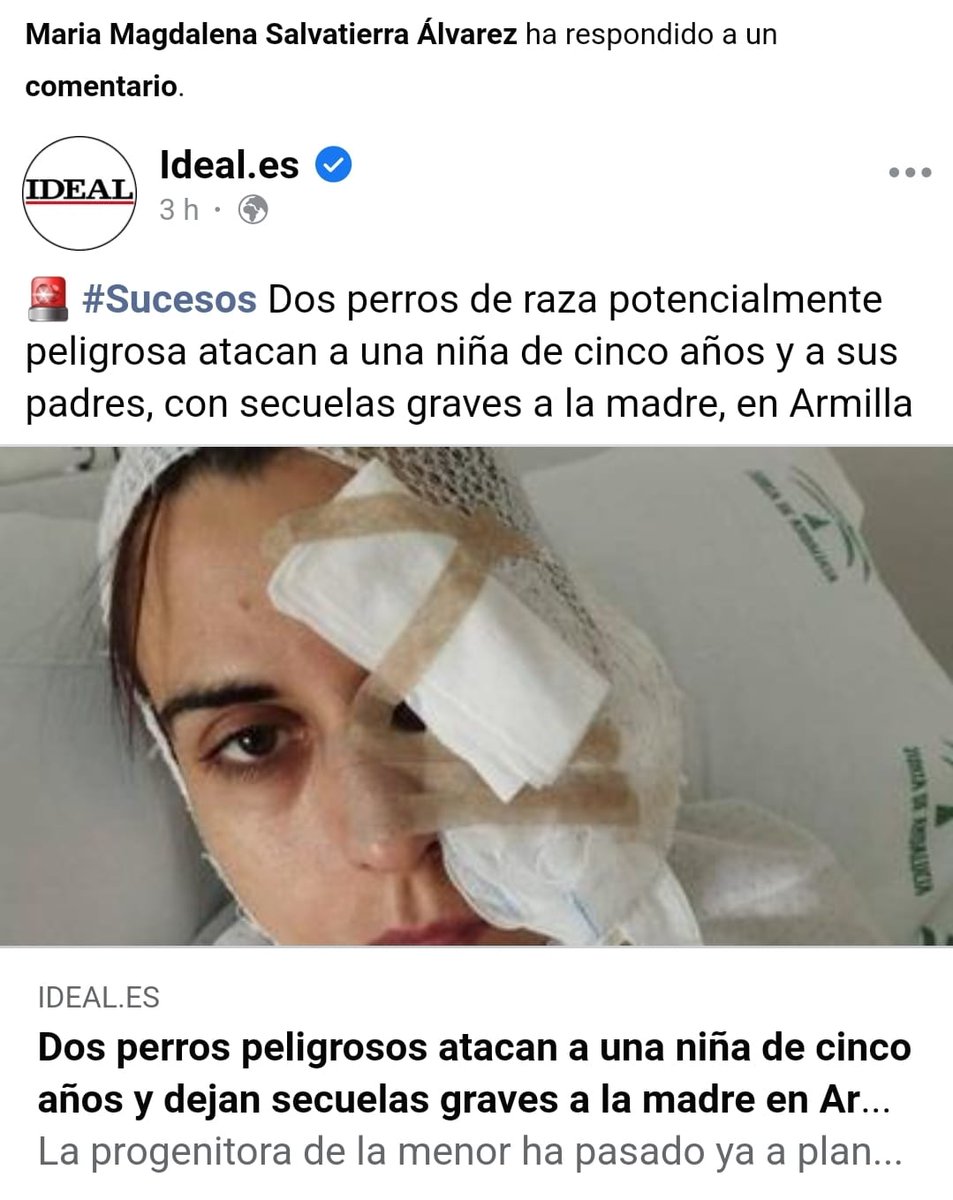 Los típicos chulos que van con el perro peligroso sin bozal y te dicen que no te hacen nada que su perro es muy bueno. Los odio .