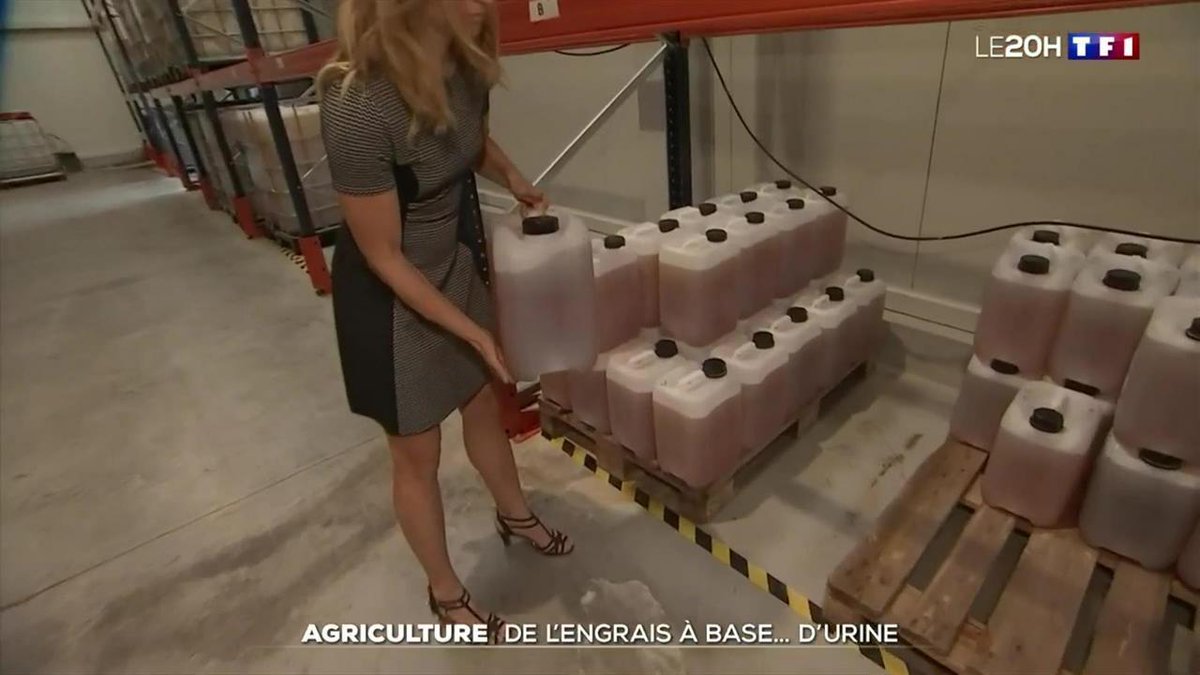 TF1Info's tweet photo. Agriculture : de l’engrais à base… d’urine https://t.co/gkhIGsCNNP https://t.co/nxgAPrG2vw