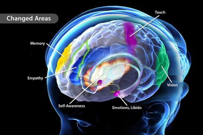 การศึกษาพบว่าการนั่งสมาธิเป็นเวลา 2 เดือนเพิ่มสสารสีเทาในส่วนต่าง ๆ ของสมองที่ควบคุมอารมณ์และการเรียนรู้ และยังช่วยลดการอักเสบในสมองและป้องกันโรคอัลไซเมอร์ได้อีกด้วย..