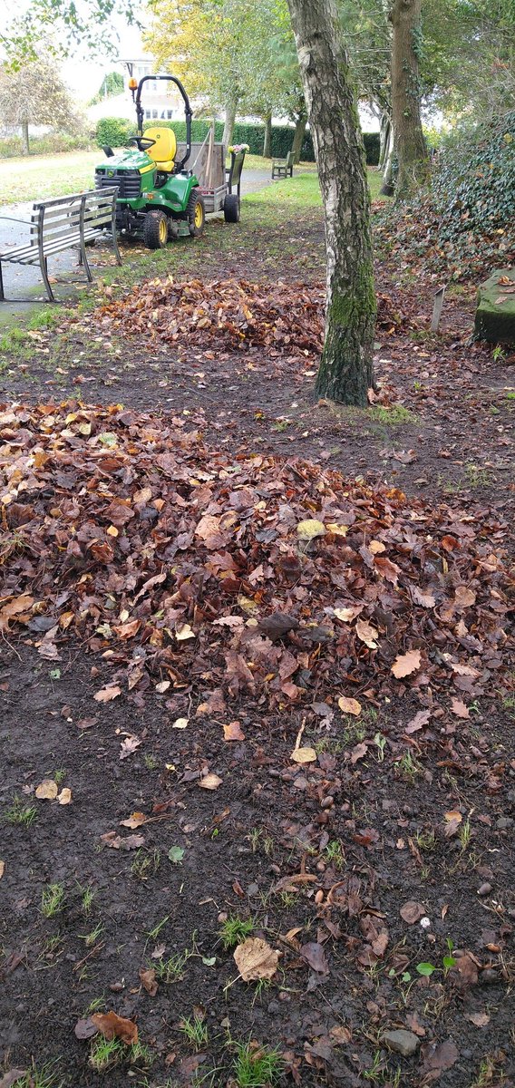 cora eley tweet media