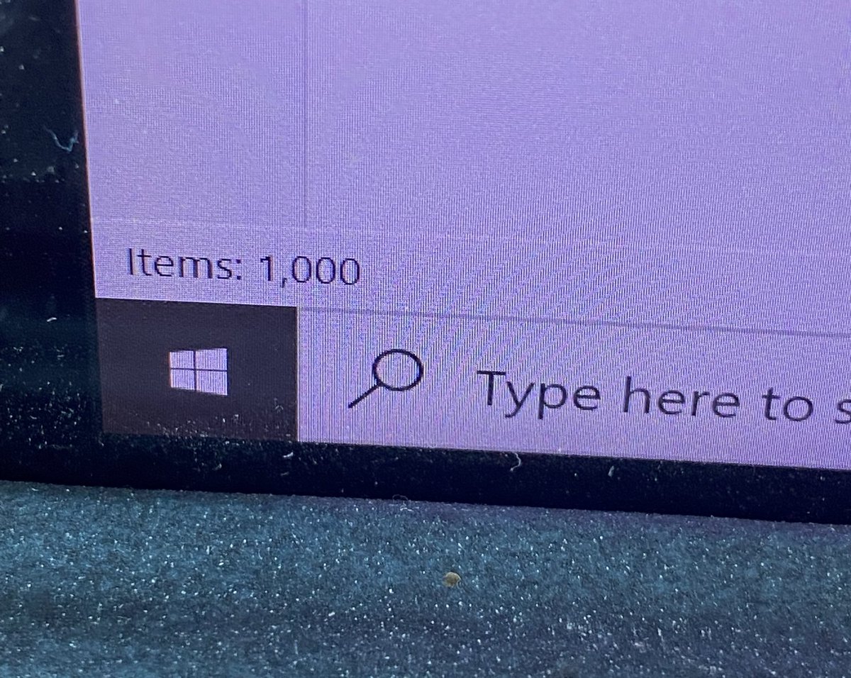 Aila Hoss tweet media