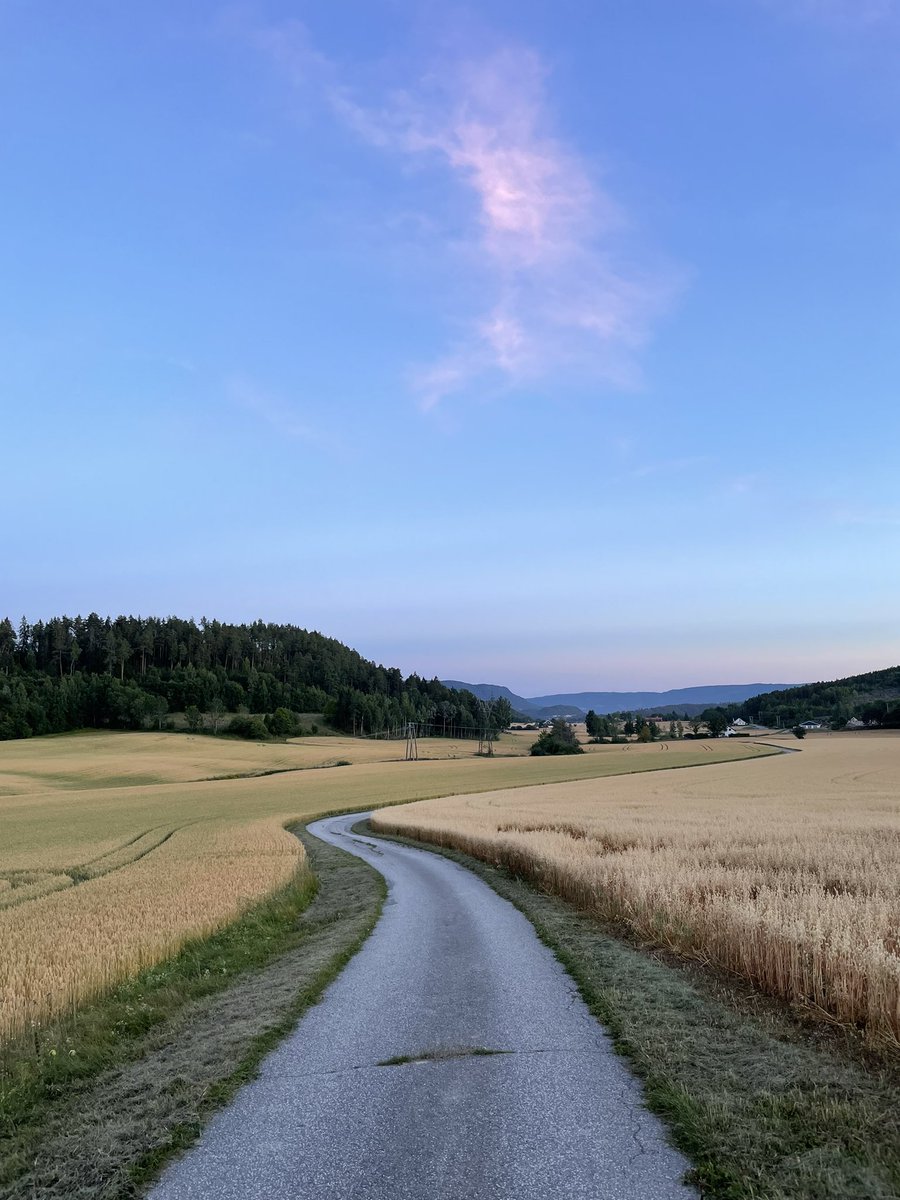 Plan4All tweet media