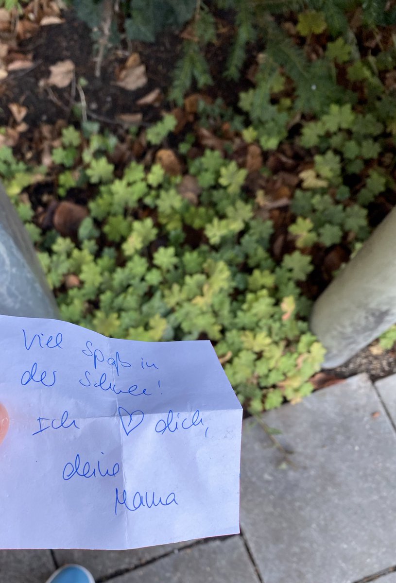 100Litty's tweet image. Einfach auf dem Boden gefunden was für ein Hund wer wirft das weg?