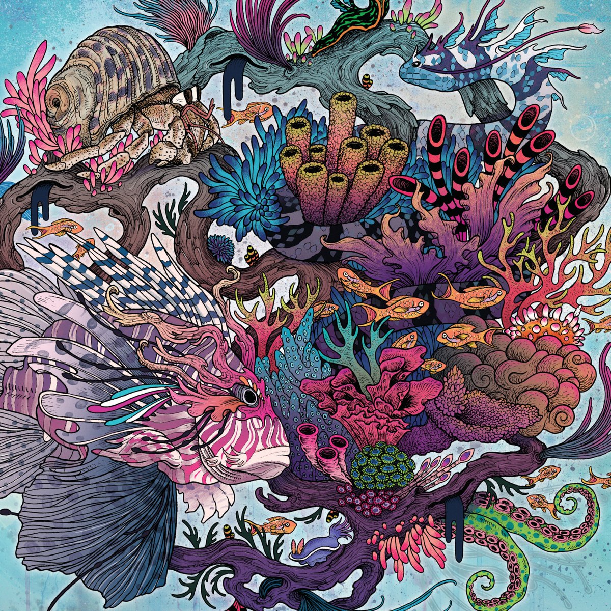 MatMiller_art's tweet photo. Gm 🐙🌟🪸 https://t.co/y8pmMl5Gpo