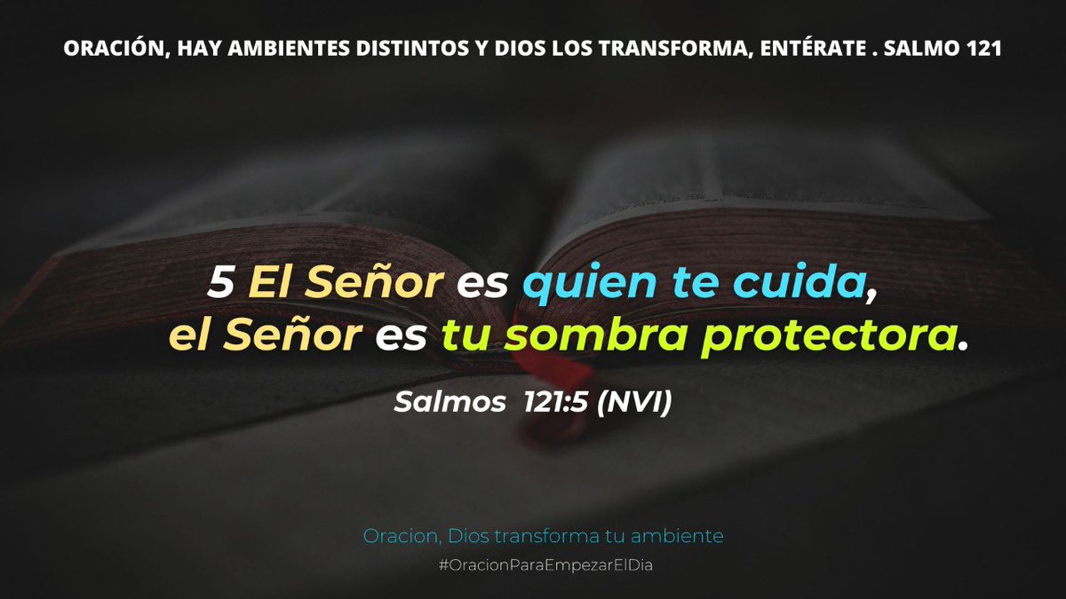 Rudyortegon's tweet photo. ⛱️🤠 ORACIÓN, hay ambientes distintos y DIOS los TRANSFORMA , entérate | salmo 121 | Oración del Día https://t.co/Pxut2hWclJ https://t.co/886EzIVyEP