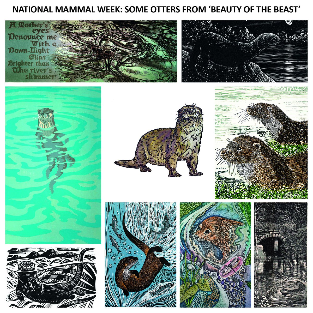 #NationalMammalWeek and more original prints from our new book 'Beauty of the Beast' which celebrates UK #printmaking and British wild #mammals. This time we feature the #Otter. All images are in the 192-page #Norfolk-made book that can be ordered from the Mascot Media website.