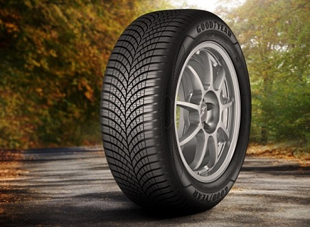 Canal Neumático tweet media