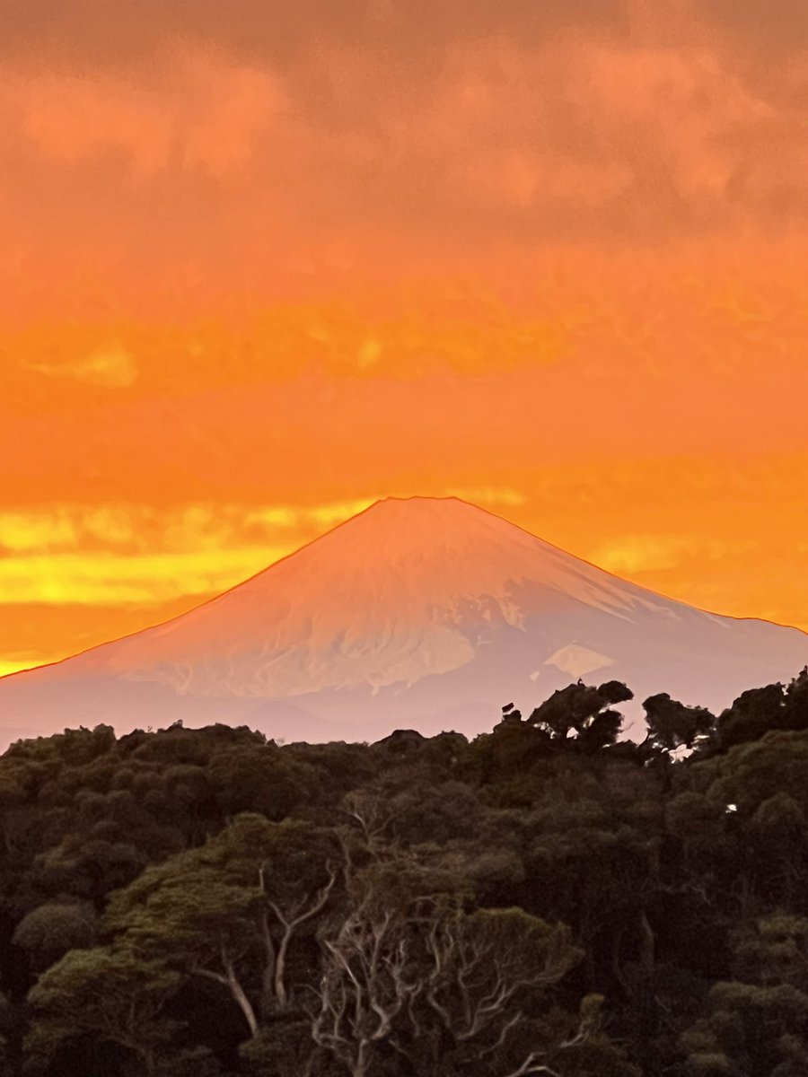 珍しい 我が家に代々伝わる赤富士 その他 V Pravda Ru