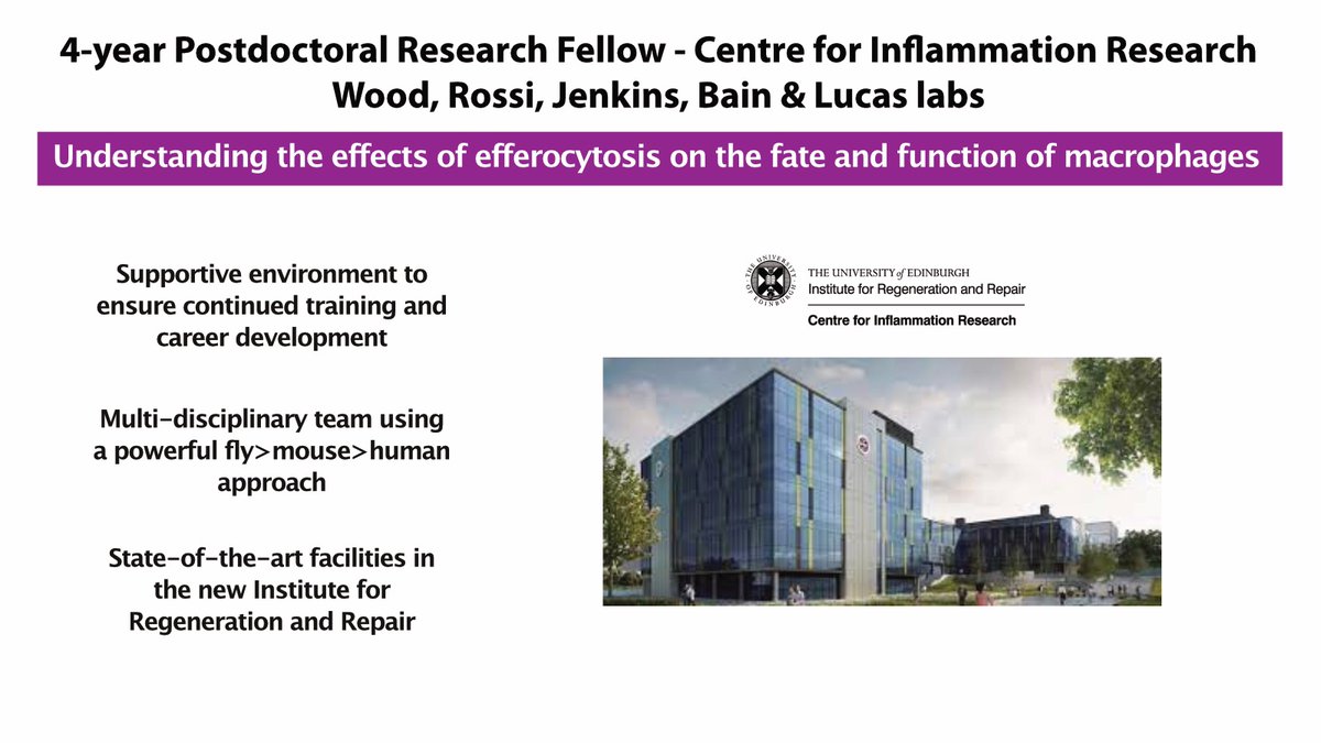 Calum Bain (@bainlab) on Twitter photo 🚨 #postdoc opportunity @EdinUni_MeetCIR
<a href="/The_MRC/">Medical Research Council</a>-funded #postdoc position to understand the effects of efferocytosis on #macrophage fate and function. Full details 👇
elxw.fa.em3.oraclecloud.com/hcmUI/Candidat…
<a href="/britsocimm/">British Society for Immunology</a> <a href="/socmucimm/">Society for Mucosal Immunology</a> 🚨 #postdoc opportunity @EdinUni_MeetCIR
<a href="/The_MRC/">Medical Research Council</a>-funded #postdoc position to understand the effects of efferocytosis on #macrophage fate and function. Full details 👇
elxw.fa.em3.oraclecloud.com/hcmUI/Candidat…
<a href="/britsocimm/">British Society for Immunology</a> <a href="/socmucimm/">Society for Mucosal Immunology</a>