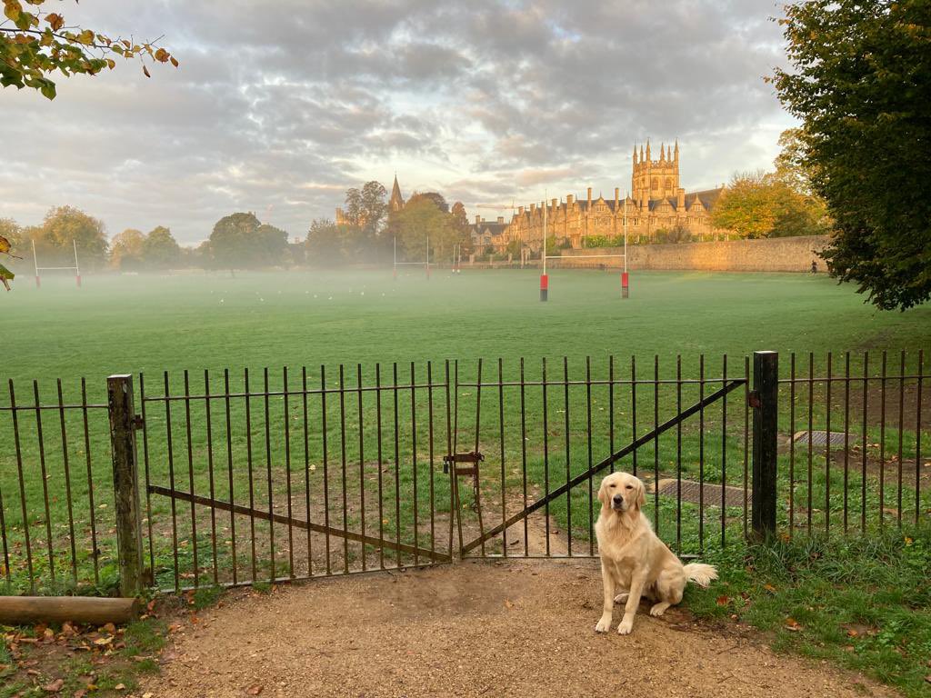 October again (forgot my collar 🤪 naked biscuit)
