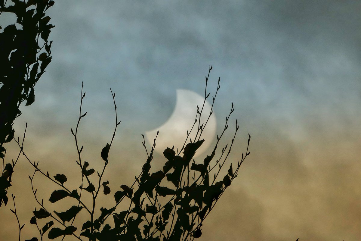 NicoleVPunkt's tweet photo. Partielle #Sonnenfinsternis gesichtet im #Ruhrpott https://t.co/tI6eYYTAQb