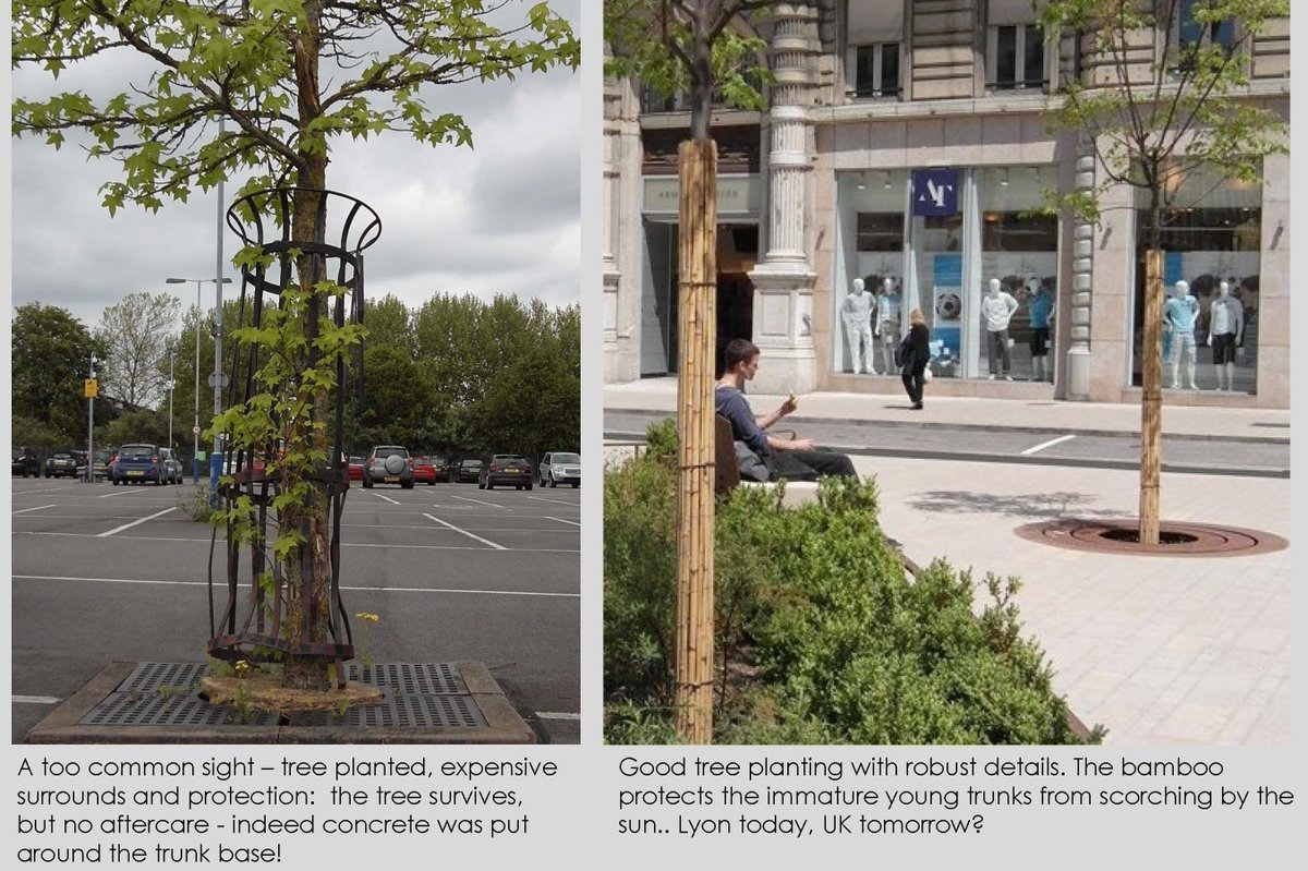 In this week's Futurebuild newsletter, Keith Sacre, Urban Forestry Director, @Barchamtrees discusses how the Committee on Climate Change has called for the planting of 30,000 hectares of trees every year until 2050. Read the full opinion piece: bit.ly/3F9YNS4