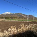 ツイートに含まれる画像