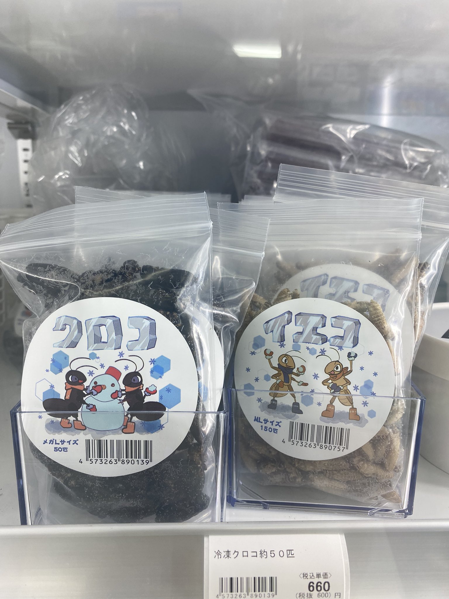 【中古】 都会にきた天才コオロギ 2025年最新】Yahoo!オークション -コオロギ)(読み物一般)の中古
