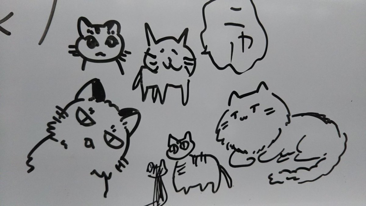 今日の課題は「花束」。
助手W田先生の描いた超美麗見本と、課題とは無関係な猫たち😸 