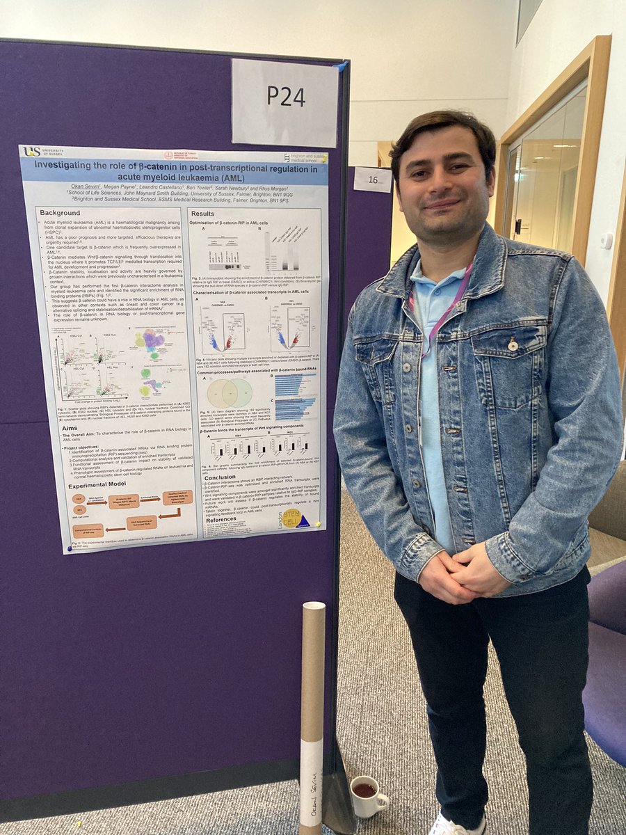 Strong showing from the network today at the 5th annual @LSCN_UK symposium @TheCrick with @EleniLadikou @KimShar23413743 and @oknsvm on poster presentation duty. Also great 3min flash presentation from Kim featuring work from @ChrisPepper64 @andrea_pepper2 group.