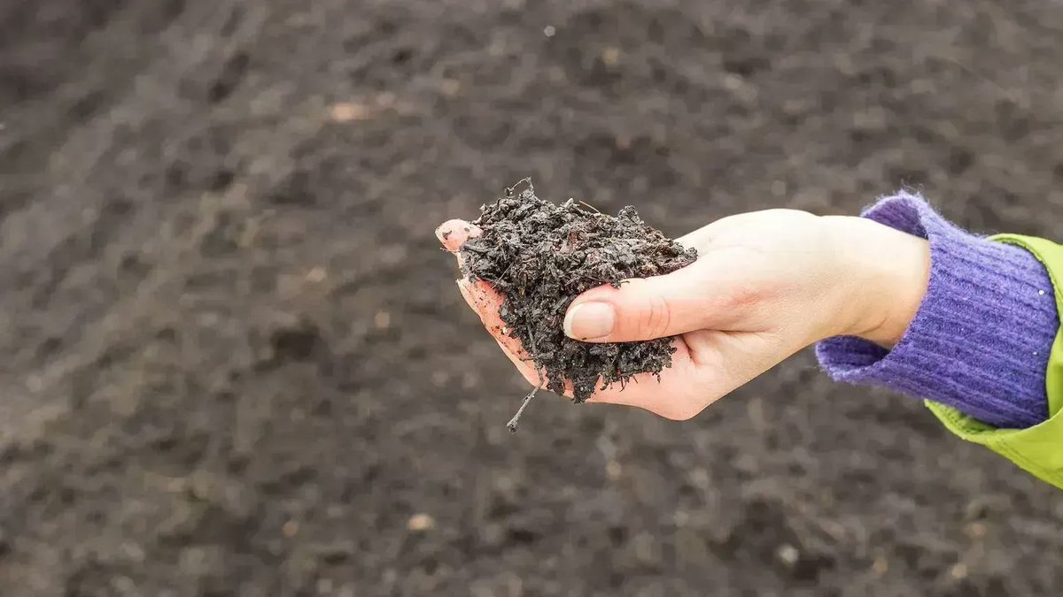 Guest post: Testing how the latest climate models simulate global soil carbon | @rebecca_varney_ @coxypm @UniofExeter Read here: bit.ly/3st0IJW