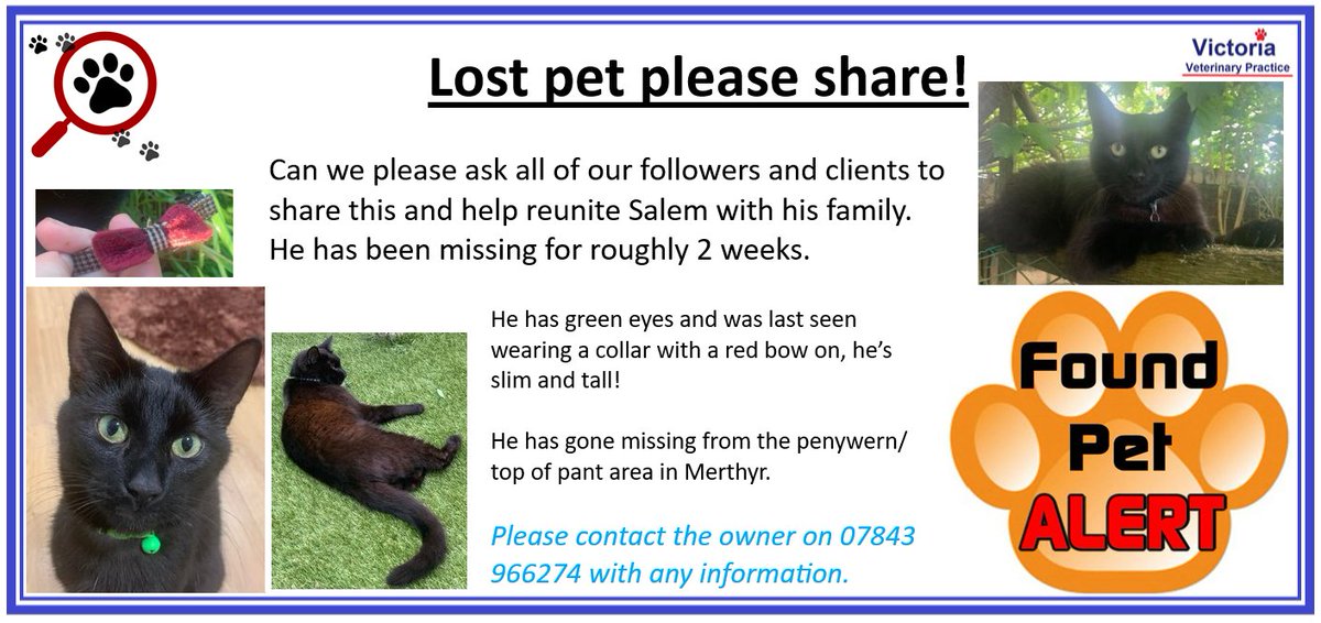 **LOST CAT** 
Can we please ask all of our clients and followers to share Salem's poster and help reunite him with his family. If you are from the Pant area in Merthyr please check your sheds and garages in case he has found shelter. 🐾🔎

<a href="/LostandFoundRCT/">Lost and Found RCT</a> #lostcat #lostpet #lost