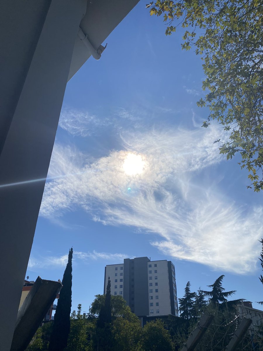 Tık tutuldu güneşim 🌞
#guenestutulması