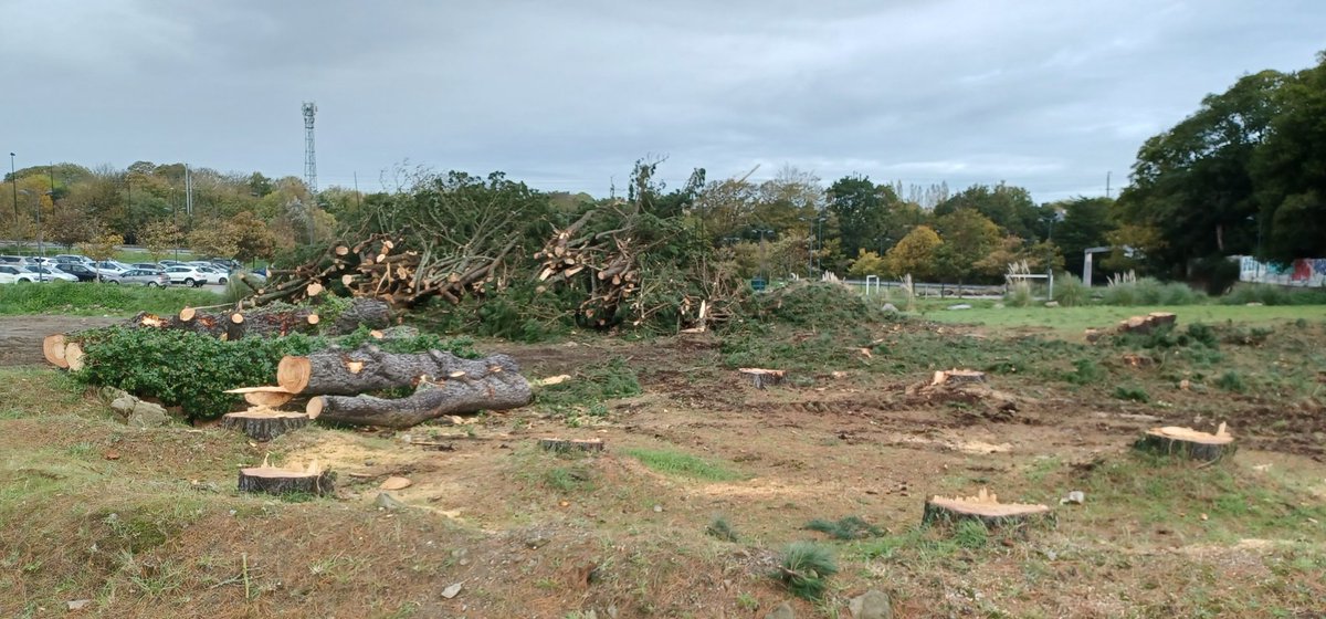 Christophe_Owd's tweet photo. Les arbres sont nos alliés face au changement climatique. Ils protègent du soleil, lissent le cycle de l'eau, et cassent les vents venus du large.
Mais à la métropole de #Brest, on leur préfère des appartements de luxe avec vue sur rade... et bientôt les pieds dans l'eau. https://t.co/HbMJEs7WEd