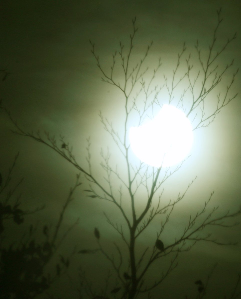 Dr Aaron Brown tweet media