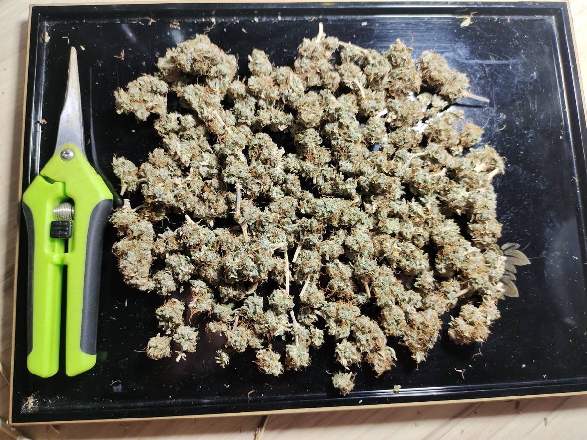 CCT MisterThree tweet media