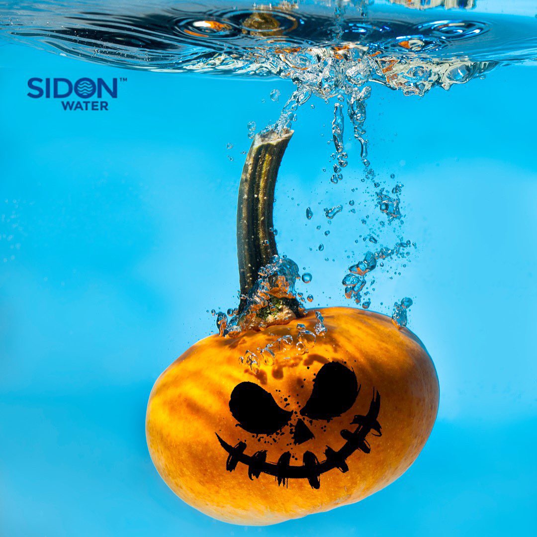 SidonEurope's tweet photo. Is there something spooky lurking in your pipes this Halloween? 🎃

#Halloween #sidonintegro #hardwater https://t.co/44NaNuNajR