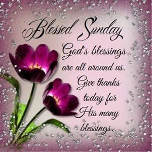 Mrs Wine Candy (@mrswinecandy1) on Twitter photo 