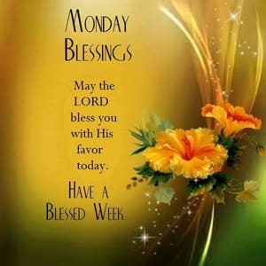 Mrs Wine Candy (@mrswinecandy1) on Twitter photo 