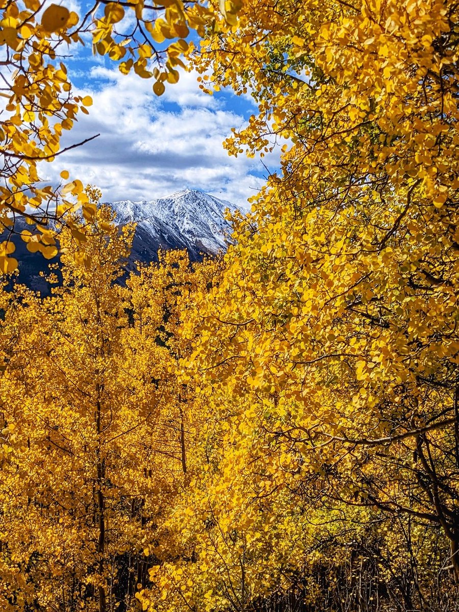 Autumn carries more gold in its pocket than all the other seasons. -- Jim Bishop