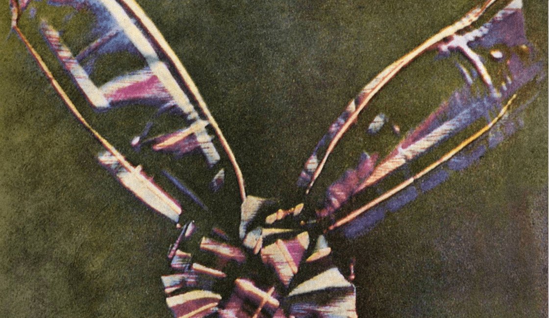 alisc_pic's tweet photo. 📷The first color #photograph was taken in London The first permanent color photograph was taken by Scotsman James Clerk Maxwell. He introduced it wanting to show that anything can be combined with the three primary colors (red, blue, and green).
#curiosity
#photography https://t.co/qm5A3Hg5BP