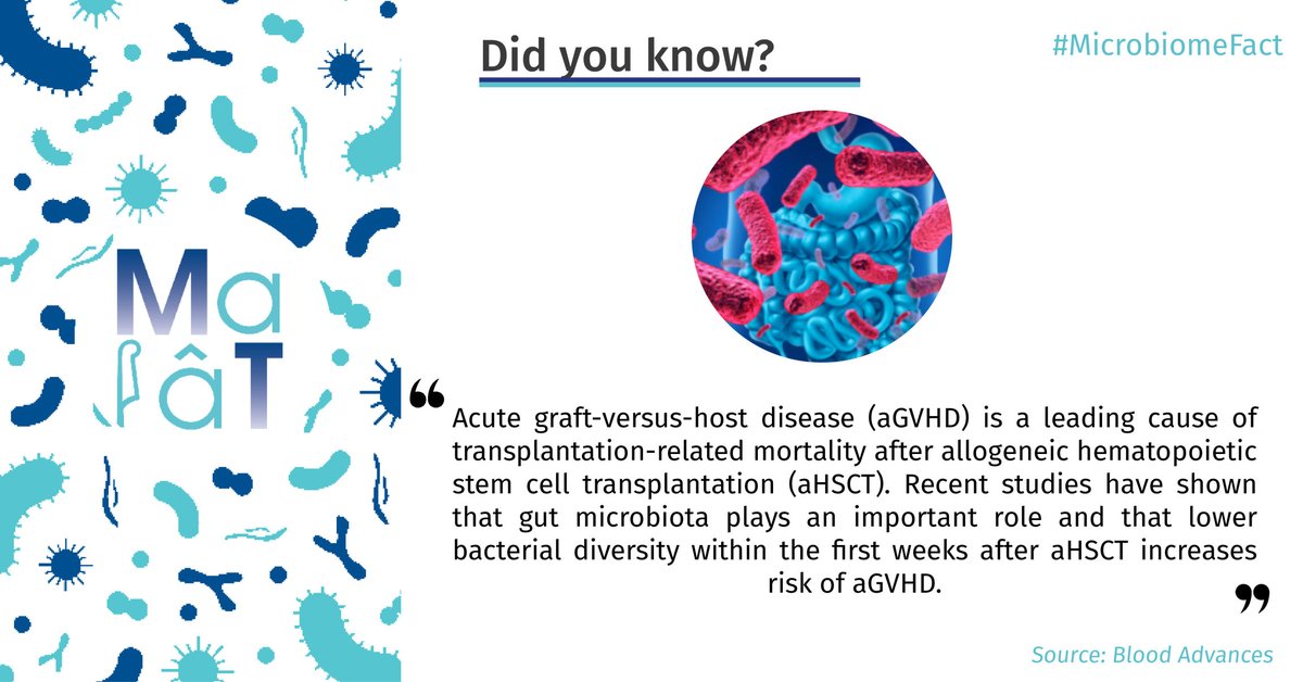 💬 Today’s #MicrobiomeFact: Did you know? Recent studies were conducted to determine the interplay of gut microbiota and conditioning in the development of aGVHD. 👉 swll.to/oUCfg