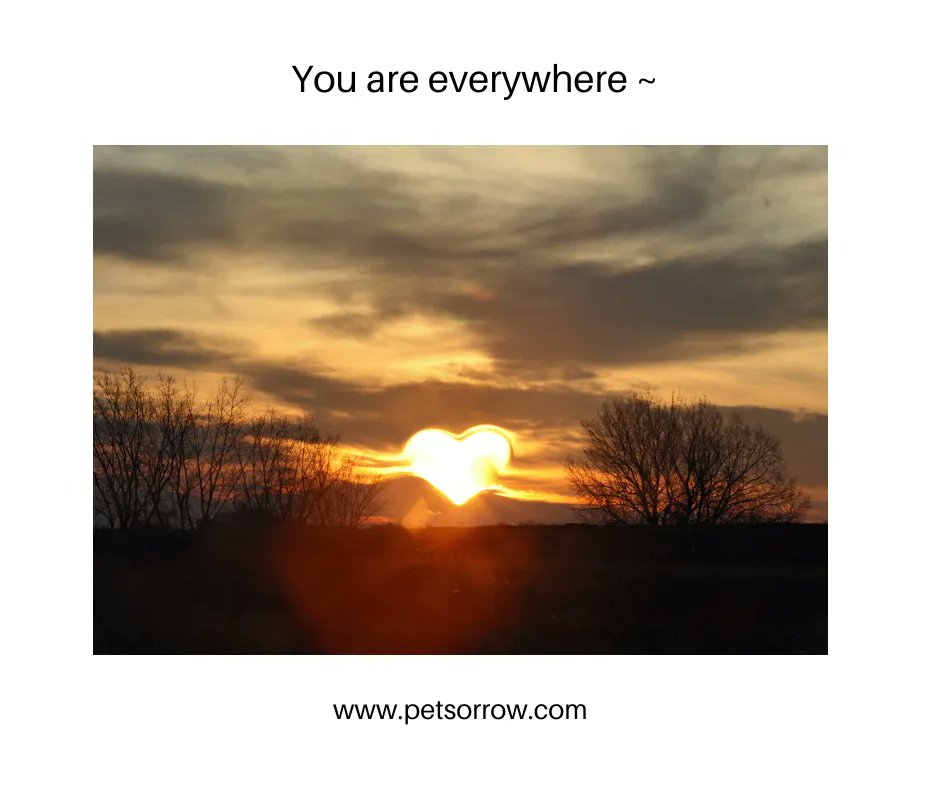 I miss having you around, but in my heart,  you're always found ~ Zach Bryan 🦋